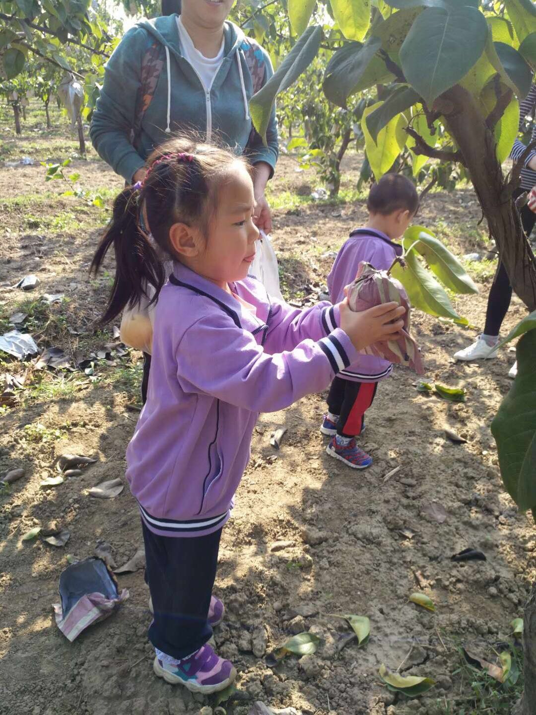 杏盛娱乐 0809f
