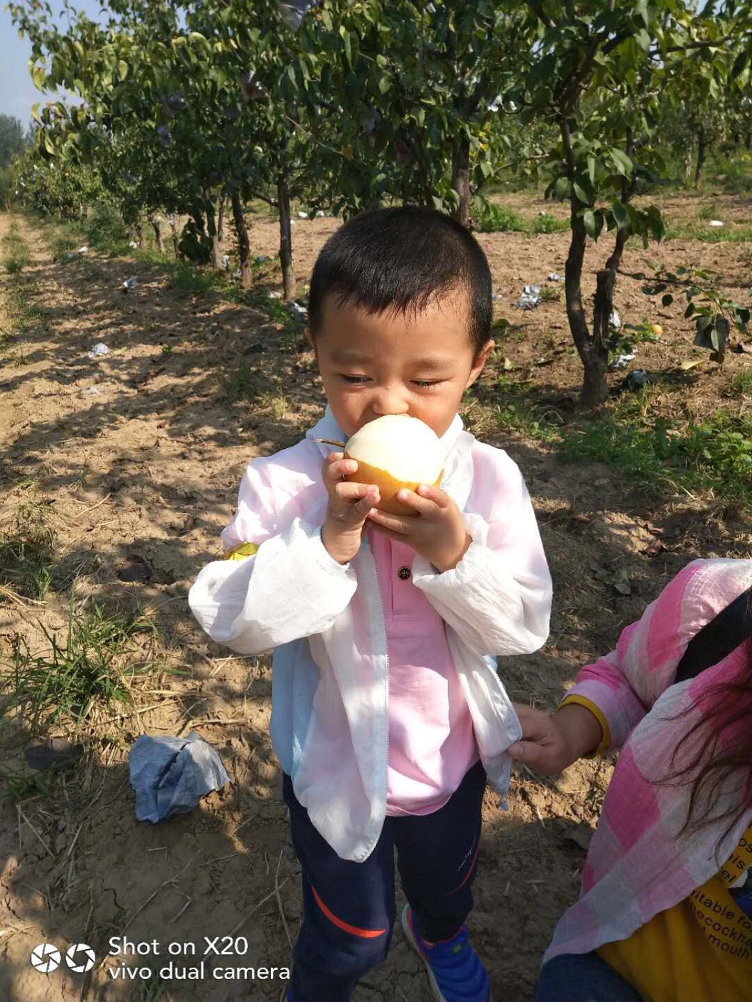 杏盛娱乐 15397
