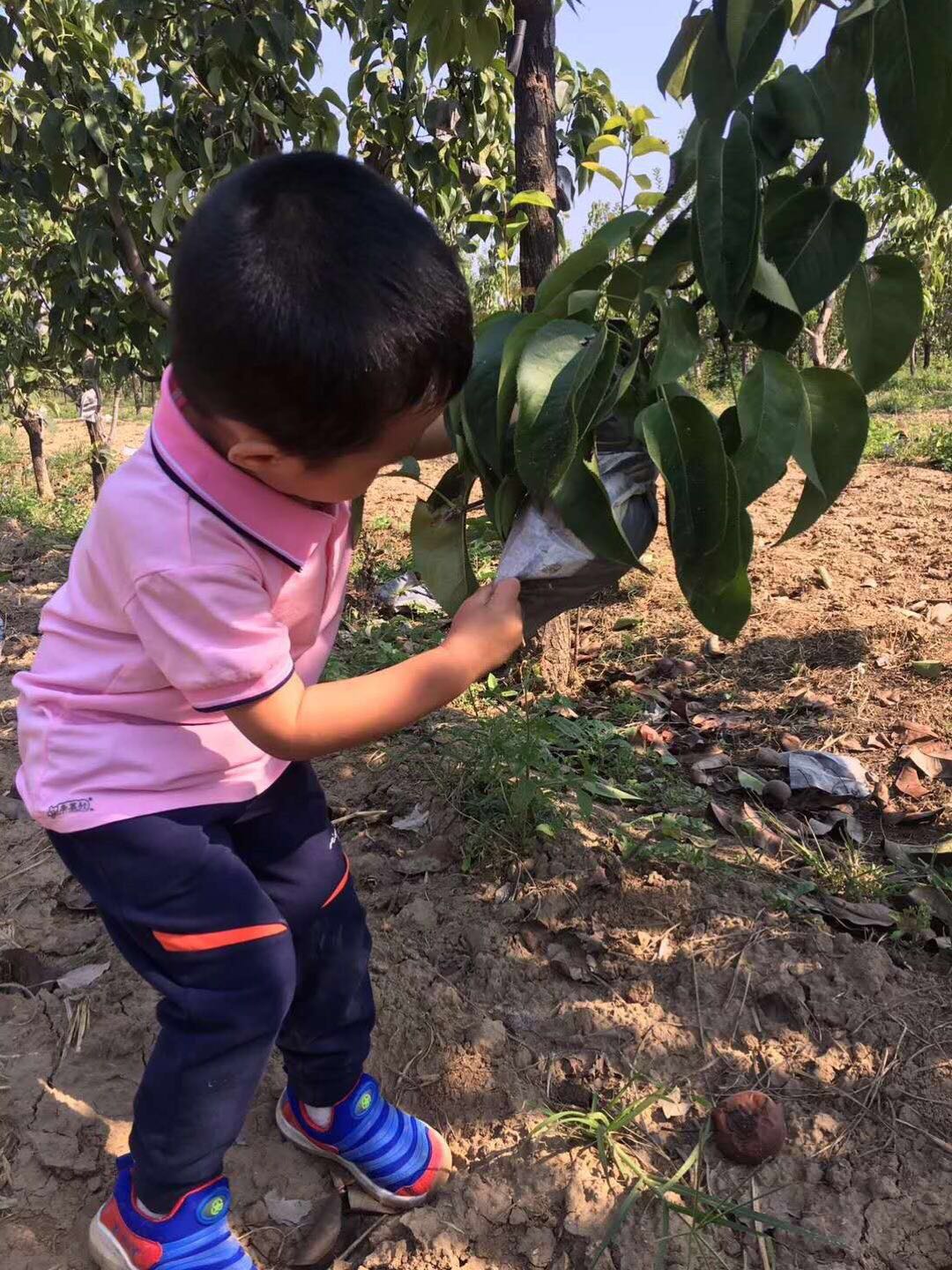 杏盛娱乐 d0ced