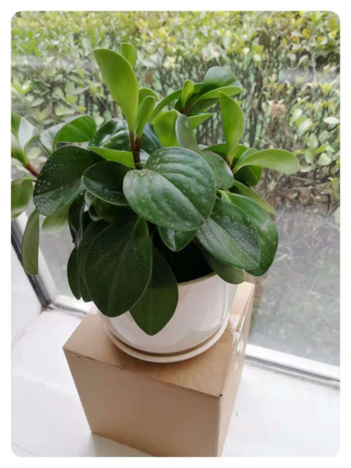 杏盛娱乐 c1aca