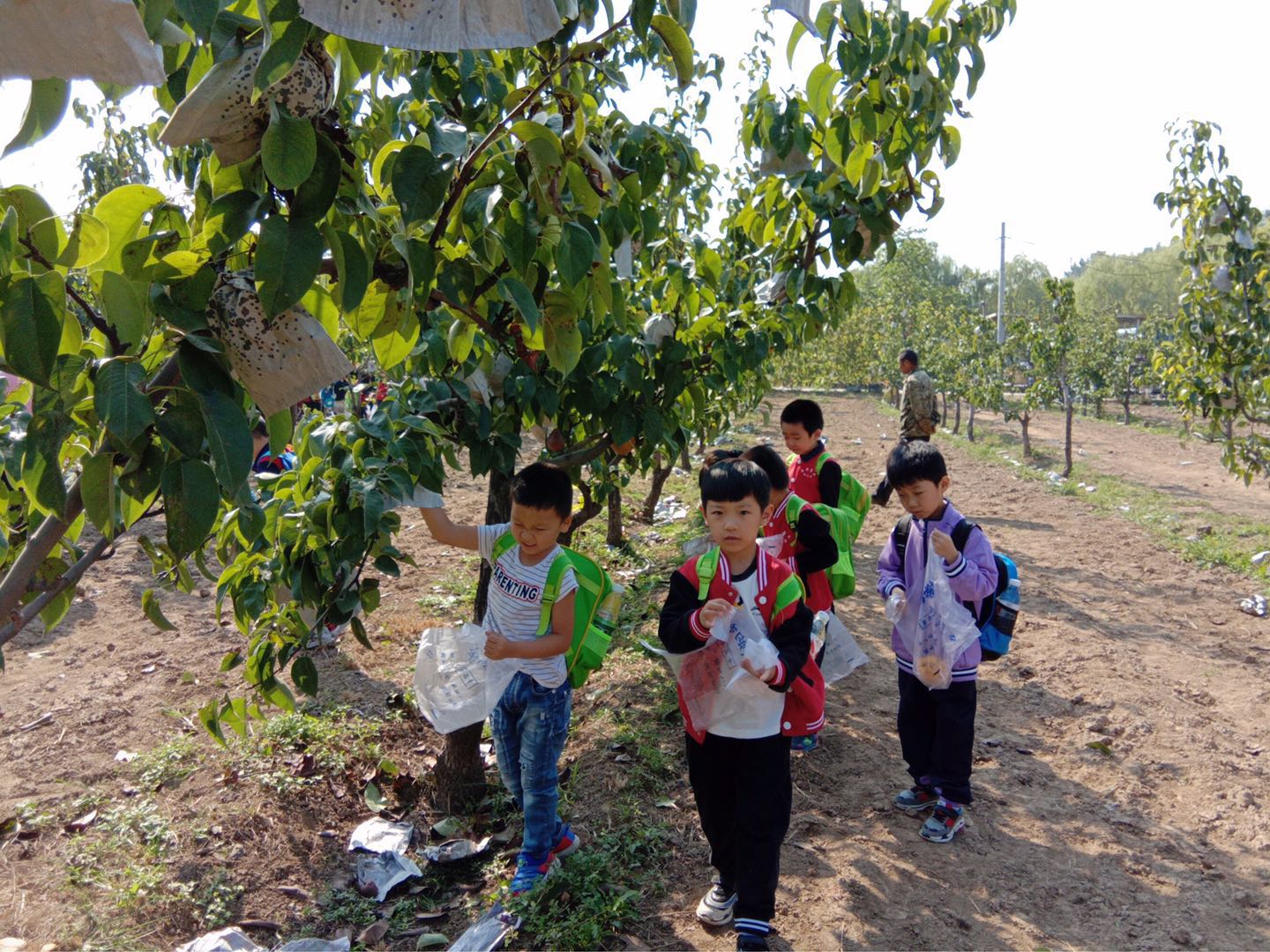 杏盛娱乐 d3045