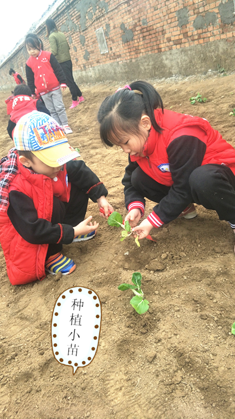 杏盛娱乐官方网站图片