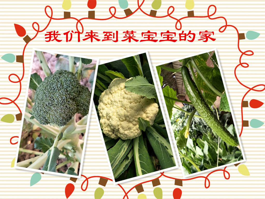 杏盛娱乐官方网站图片