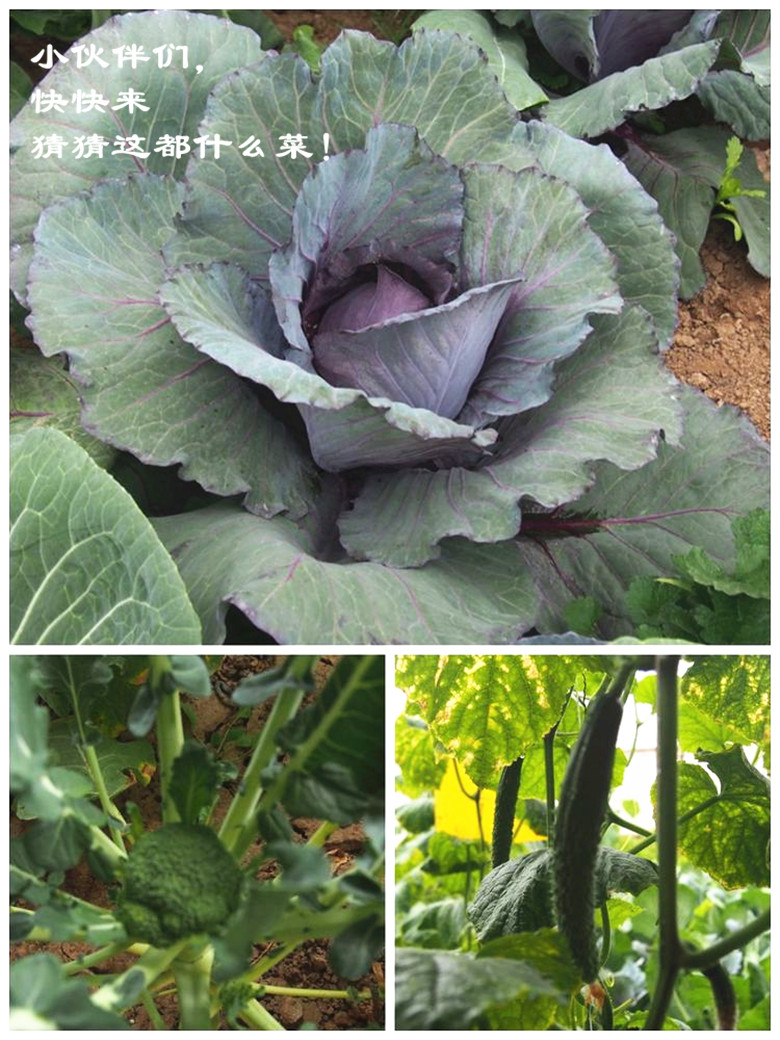 杏盛娱乐官方网站图片