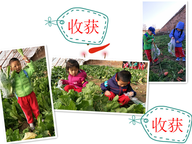 杏盛娱乐官方网站图片