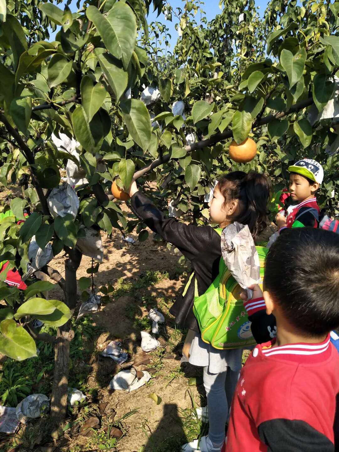 杏盛娱乐 44271