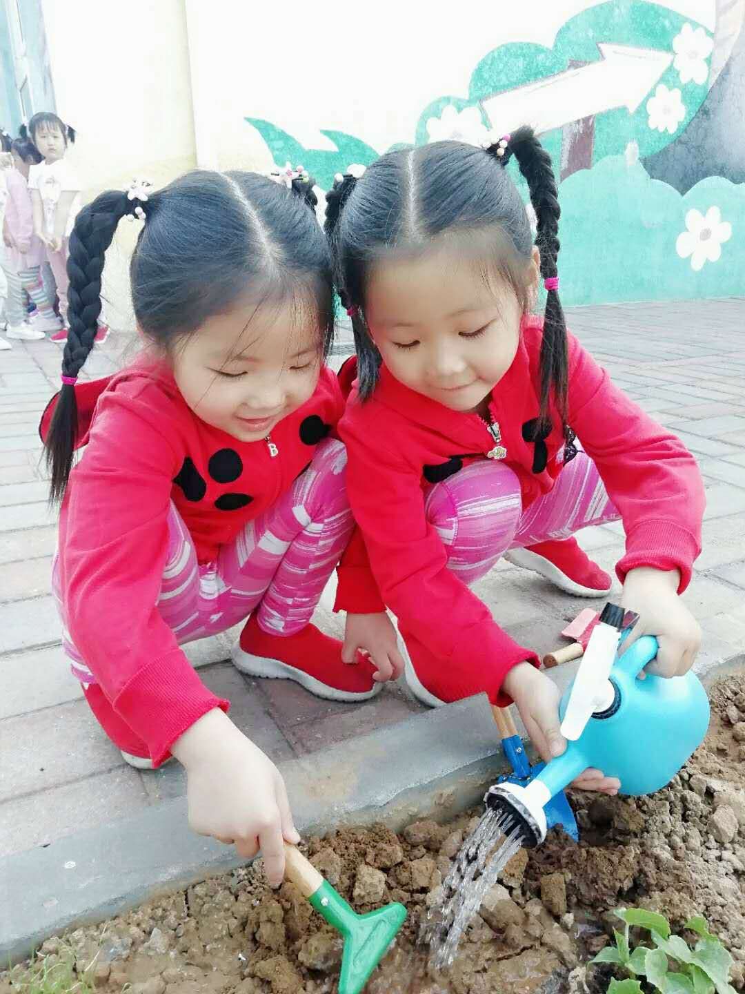 杏盛娱乐 9f056