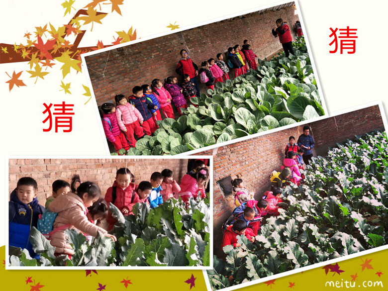 杏盛娱乐官方网站图片