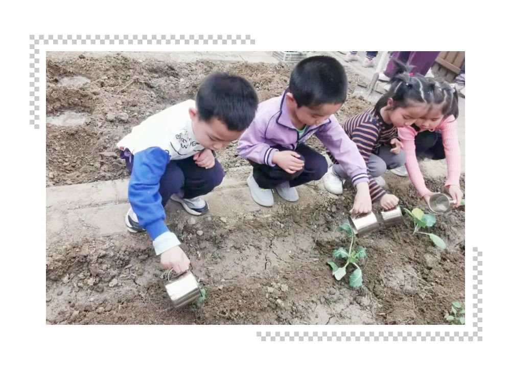 杏盛娱乐官方网站图片