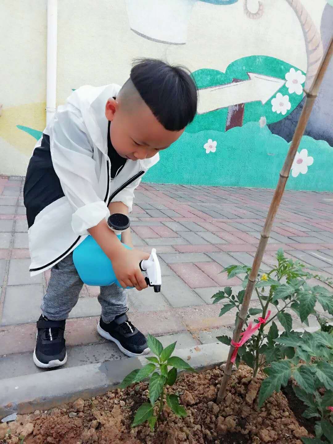 杏盛娱乐 abebd