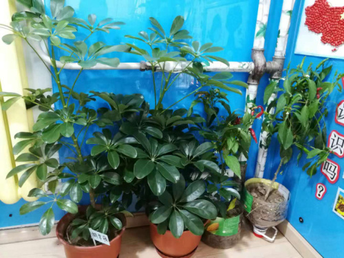 杏盛娱乐 7f8b7