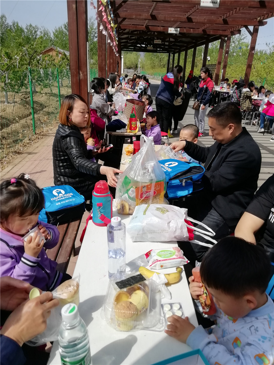 杏盛娱乐官方网站图片