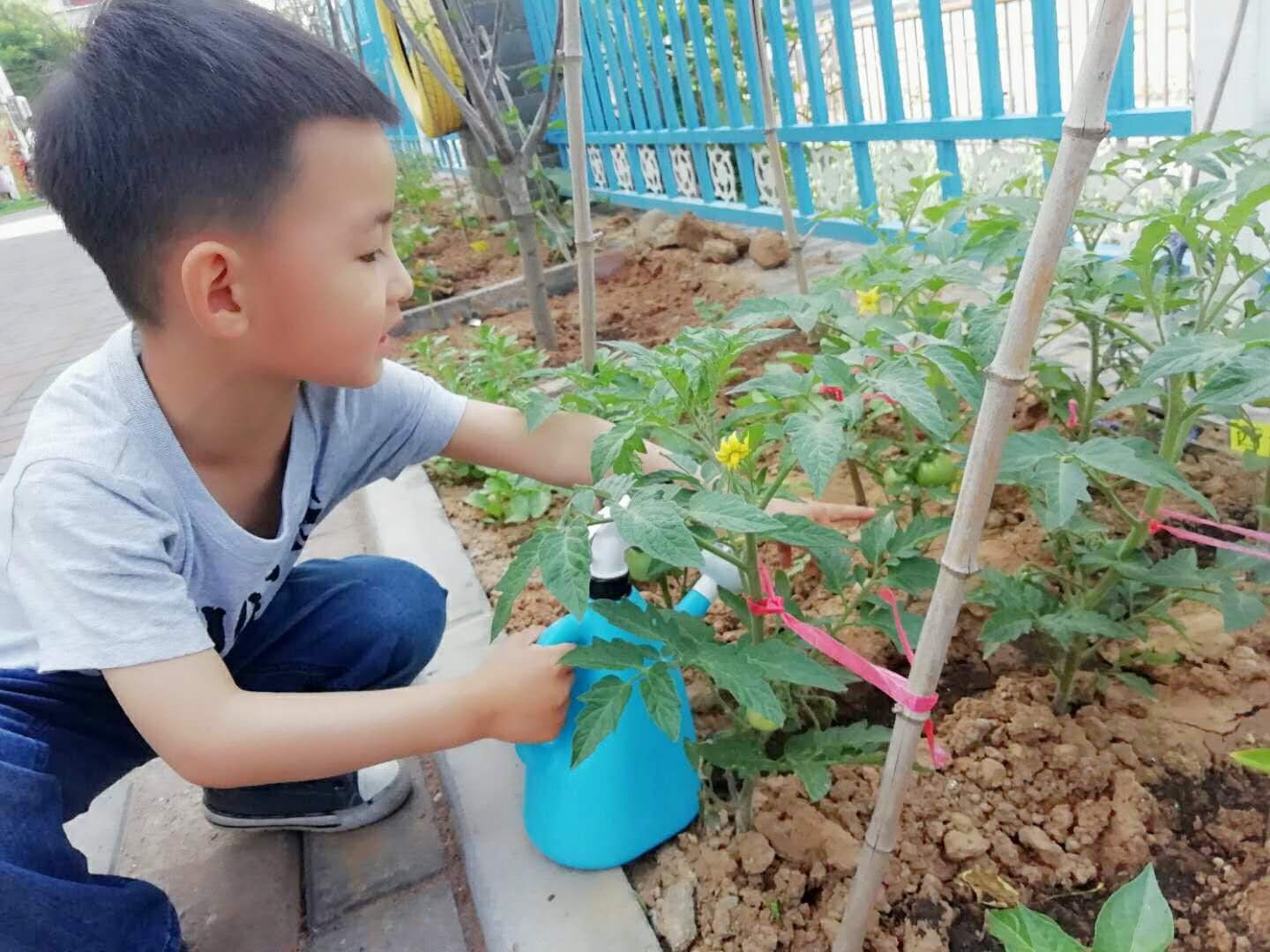 杏盛娱乐 067dd